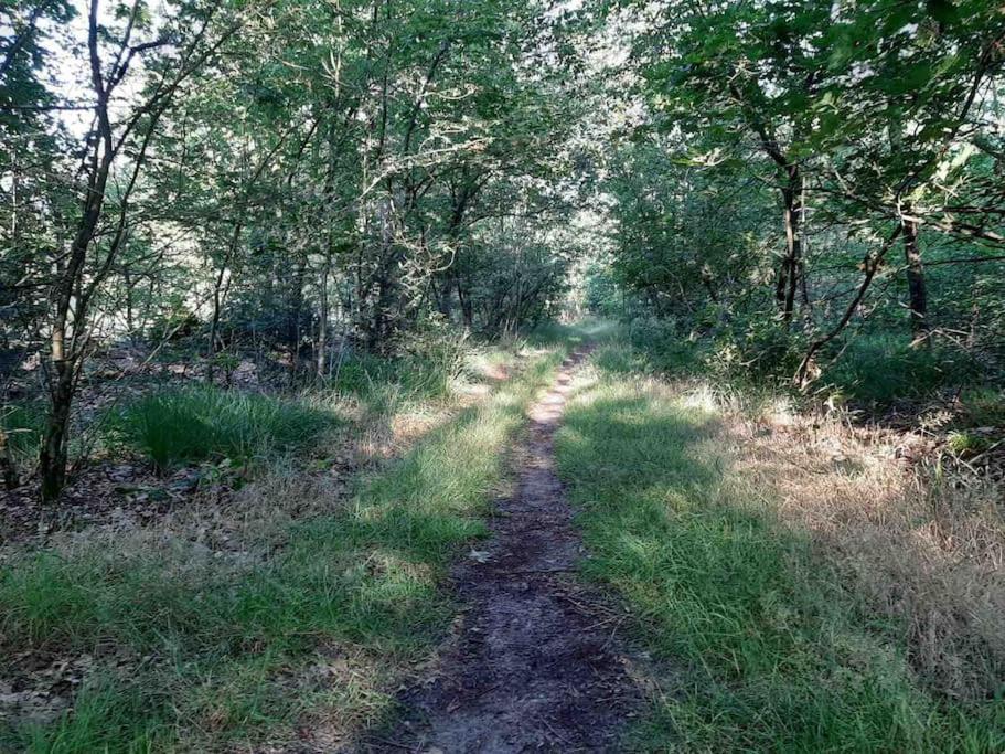 Vakantiehuis Eikzicht Gelegen Aan Het Bos Elsloo  Kültér fotó