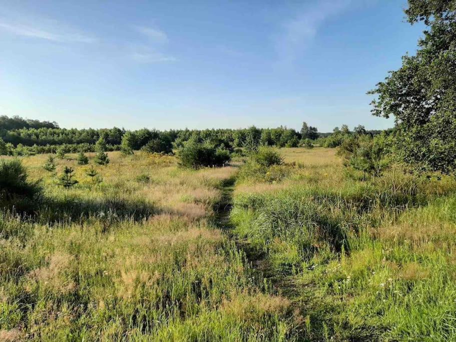 Vakantiehuis Eikzicht Gelegen Aan Het Bos Elsloo  Kültér fotó
