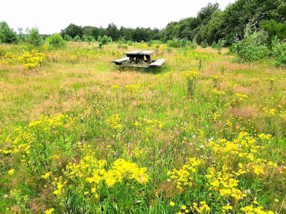 Vakantiehuis Eikzicht Gelegen Aan Het Bos Elsloo  Kültér fotó