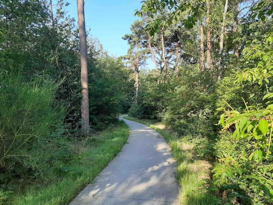 Vakantiehuis Eikzicht Gelegen Aan Het Bos Elsloo  Kültér fotó