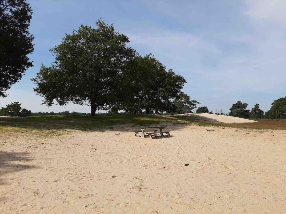 Vakantiehuis Eikzicht Gelegen Aan Het Bos Elsloo  Kültér fotó
