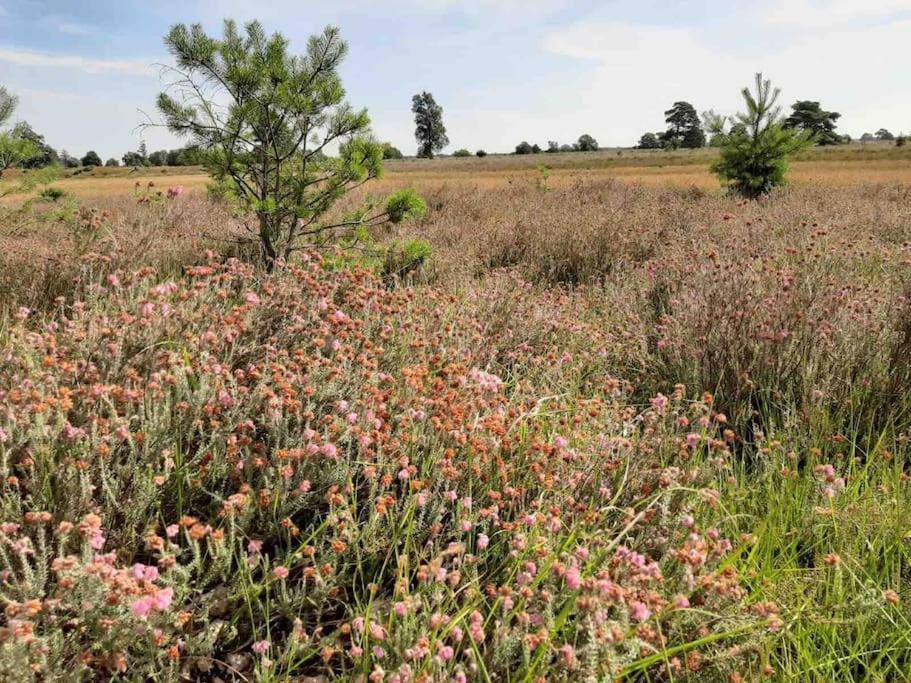 Vakantiehuis Eikzicht Gelegen Aan Het Bos Elsloo  Kültér fotó