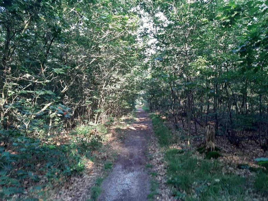 Vakantiehuis Eikzicht Gelegen Aan Het Bos Elsloo  Kültér fotó